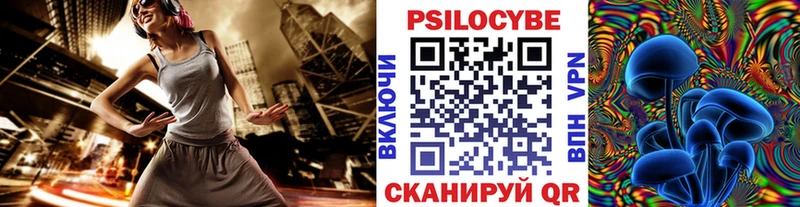 где купить   Чулым  гидра рабочий сайт  Галлюциногенные грибы MAGIC MUSHROOMS 