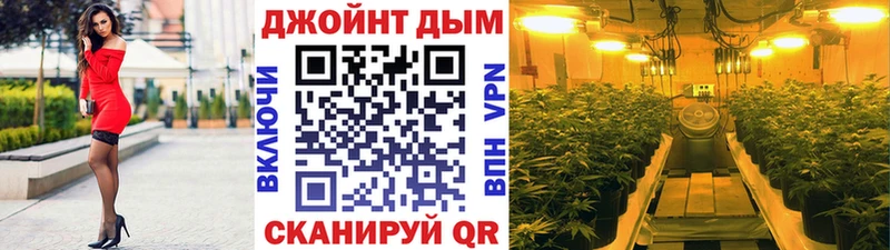 Канабис сатива  mega ссылки  Чулым 
